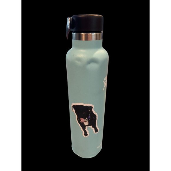 Hydro Flask 24oz Standard Mouth . Teal. 2 Stickers Can Be Removed. Needs Handle. - Picture 2 of 14